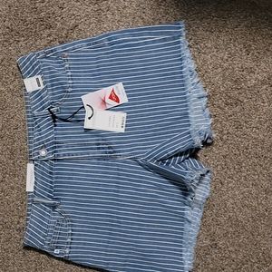Judy Blue XL shorts.
